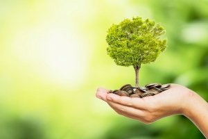 Nachhaltige Geldanlage – Anlagemöglichkeiten im Überblick