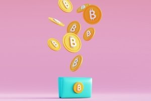 Wert und Beliebtheit des Bitcoins